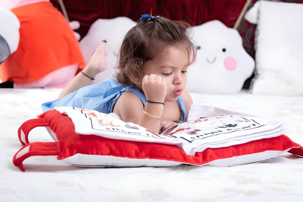 👶🏻Baby Learning Cushion Pillow Book👶🏻